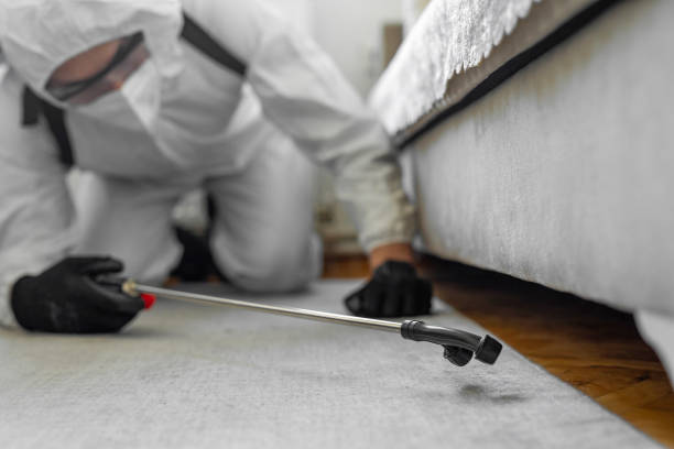 Professional Bed Bug Control technician working in Gray, LA